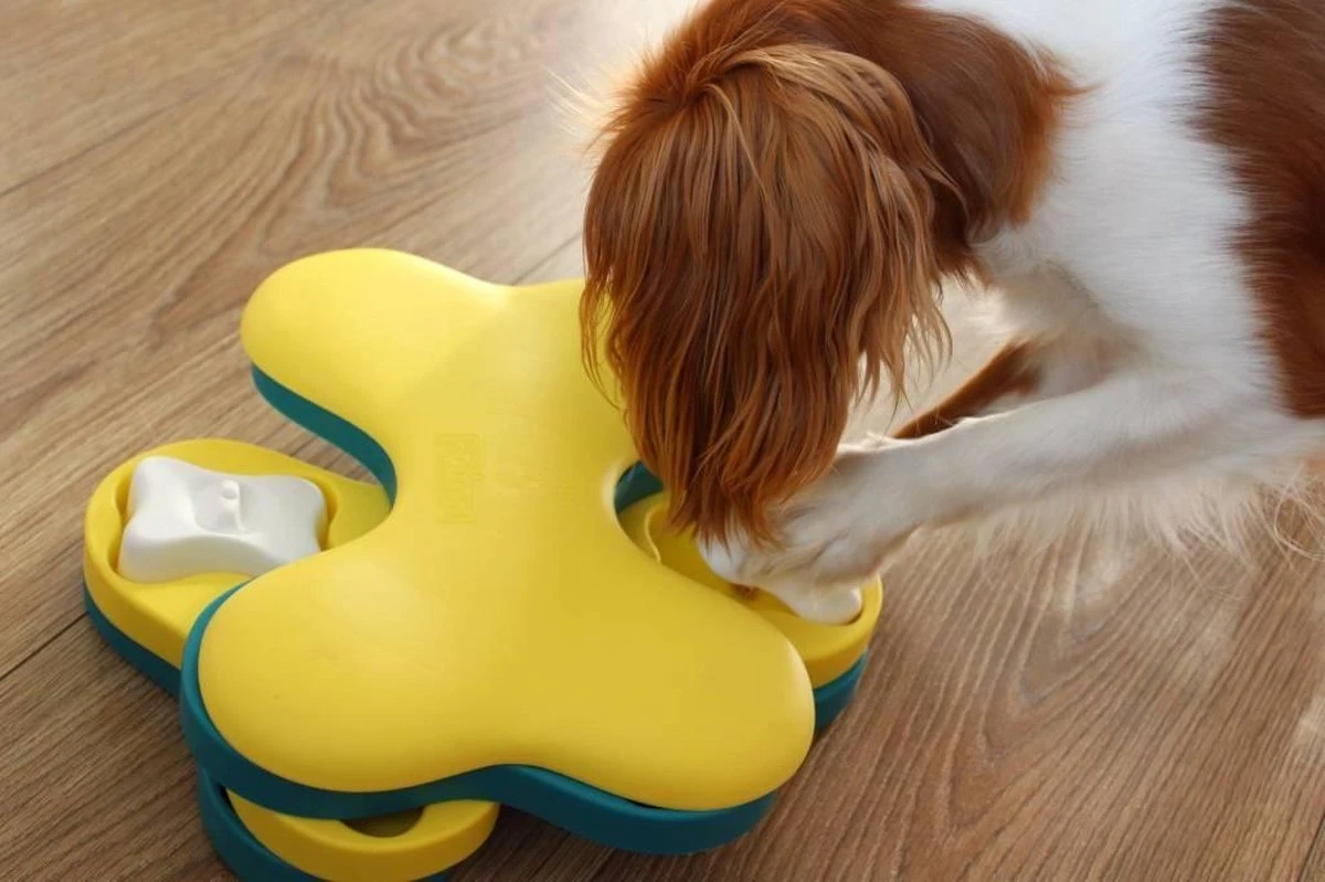 Nina Ottosson Dog Tornado Blu 11 Nina Ottosson Dog Tornado Blu - Afbeelding 10