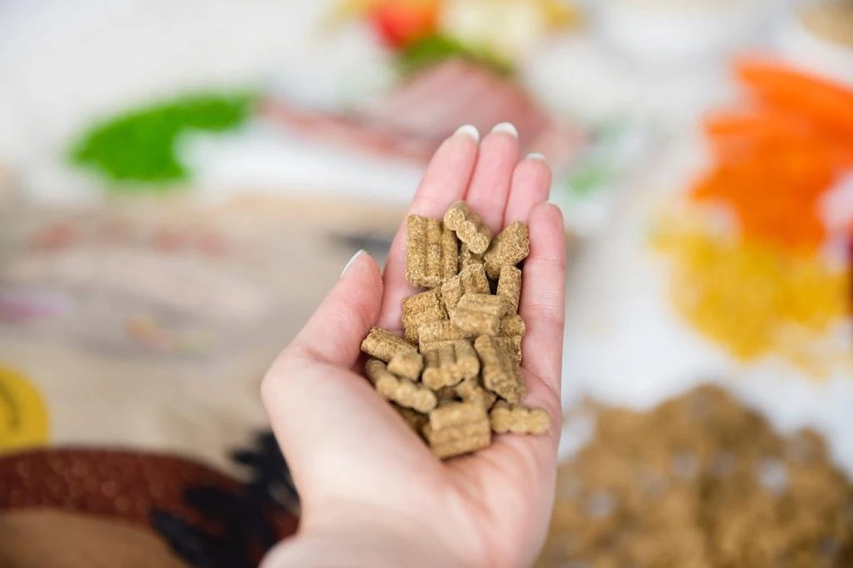 Kivo Petfood PROEFZAKJE Hondenbrokken Lam & Rijst 300 Gram - Koudgeperst - Glutenvrij 6 Kivo Petfood PROEFZAKJE Hondenbrokken Lam & Rijst 300 Gram - Koudgeperst - Glutenvrij - Afbeelding 4