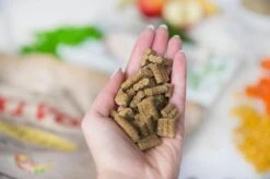 Kivo Petfood PROEFZAKJE Hondenbrokken Kip & Pens 300 Gram - Koudgeperst Glutenvrij 7 Kivo Petfood PROEFZAKJE Hondenbrokken Kip & Pens 300 Gram - Koudgeperst Glutenvrij -Hondenspeelgoed Winkel 1200x799 35