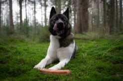 The Original Himalayan Yak Kauwbot Medium Puur Fit -Hondenspeelgoed Winkel 1200x799 40