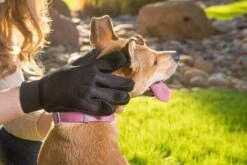 Merkloos Vachtverzorgingshandschoen 38 Merkloos Vachtverzorgingshandschoen -Hondenspeelgoed Winkel 1200x800 1