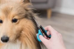 Trixie Gezicht- En Potenschaar Kunststof / Rvs 8 Cm -Hondenspeelgoed Winkel 1200x800 11