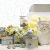 Merkloos Beeztees Puppy Cadeaupakket - Puppy Pakket - Leuke Box Met Puppy Speelgoed En Snacks