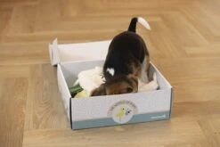 Merkloos Beeztees Puppy Cadeaupakket - Puppy Pakket - Leuke Box Met Puppy Speelgoed En Snacks 12 Merkloos Beeztees Puppy Cadeaupakket - Puppy Pakket - Leuke Box Met Puppy Speelgoed En Snacks -Hondenspeelgoed Winkel 1200x800 120