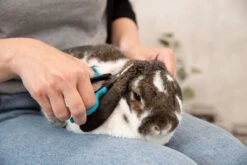 Trixie Gezicht- En Potenschaar Kunststof / Rvs 8 Cm -Hondenspeelgoed Winkel 1200x800 13