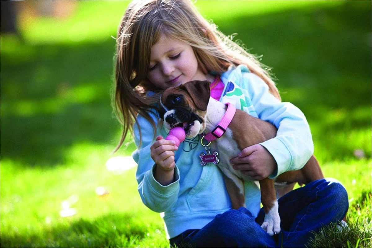 Kong Puppy - Hondenspeelgoed - Assorti - M 22 Kong Puppy - Hondenspeelgoed - Assorti - M - Afbeelding 20