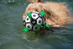 Honden Speelgoed Bal Voetbal Extra Sterk Met Handvaten Ball Hondenbal - 15 Cm - Dutchwide 24 Honden Speelgoed Bal Voetbal Extra Sterk Met Handvaten Ball Hondenbal - 15 Cm - Dutchwide -Hondenspeelgoed Winkel 1200x800 142