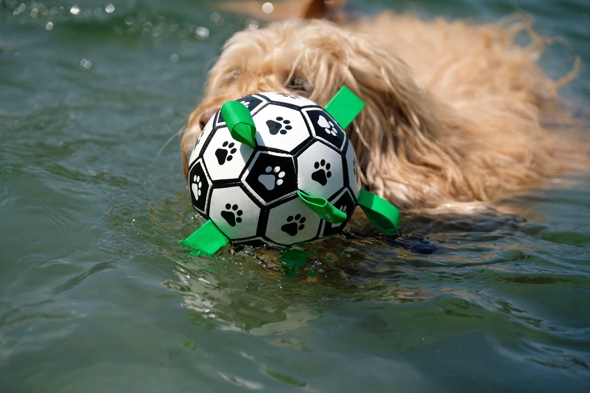Honden Speelgoed Bal Voetbal Extra Sterk Met Handvaten Ball Hondenbal - 15 Cm - Dutchwide 12 Honden Speelgoed Bal Voetbal Extra Sterk Met Handvaten Ball Hondenbal - 15 Cm - Dutchwide - Afbeelding 10