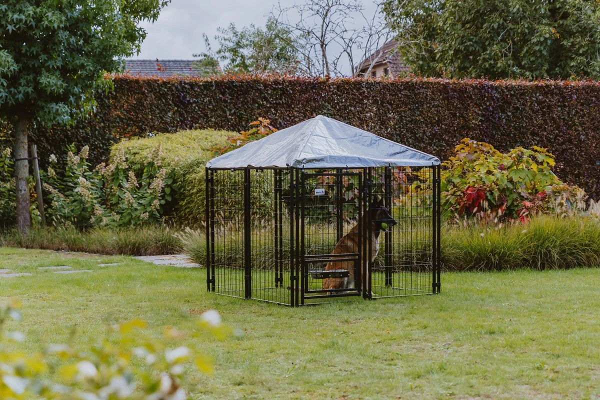 MaxxPet Hondenkennel - Hondenkennel Met Afneembaar Dak - Geschikt Voor Buiten En Binnen - 142 X 142 X 153 Cm 8 MaxxPet Hondenkennel - Hondenkennel Met Afneembaar Dak - Geschikt Voor Buiten En Binnen - 142 X 142 X 153 Cm - Afbeelding 6