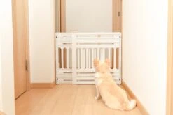 Iris Ohyama Huisdier Bariere PBR-600 - Kunststof - Wit/Beige - Uitschuifbaar -Hondenspeelgoed Winkel 1200x800 171