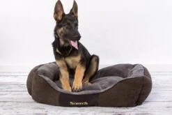 Hondenmand Zacht En Stevig, Anti-Slip En Wasbaar - Scruffs Chester Box Bed - In Grijs En Bruin In Maat S Tot XL - Kleur: Grijs, Maat: Large 39 Hondenmand Zacht En Stevig, Anti-Slip En Wasbaar - Scruffs Chester Box Bed - In Grijs En Bruin In Maat S Tot XL - Kleur: Grijs, Maat: Large -Hondenspeelgoed Winkel 1200x800 25