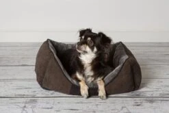 Hondenmand Zacht En Stevig, Anti-Slip En Wasbaar - Scruffs Chester Box Bed - In Grijs En Bruin In Maat S Tot XL - Kleur: Grijs, Maat: Large 41 Hondenmand Zacht En Stevig, Anti-Slip En Wasbaar - Scruffs Chester Box Bed - In Grijs En Bruin In Maat S Tot XL - Kleur: Grijs, Maat: Large -Hondenspeelgoed Winkel 1200x800 26