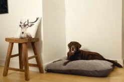 Beeztees Ruba - Orthopedisch Hondenkussen - Grijs - 100x70cm 8 Beeztees Ruba - Orthopedisch Hondenkussen - Grijs - 100x70cm -Hondenspeelgoed Winkel 1200x800 34