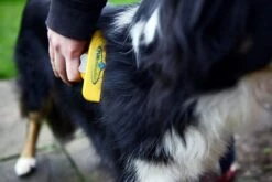 Furminator® Hond Langhaar - Vermindert Haaruitval Tot 90% - Hondenborstel - L -Hondenspeelgoed Winkel 1200x800 4