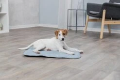 Trixie Junior Ligmat Fresh Lichtblauw - 60X50 CM 19 Trixie Junior Ligmat Fresh Lichtblauw - 60X50 CM -Hondenspeelgoed Winkel 1200x800 43