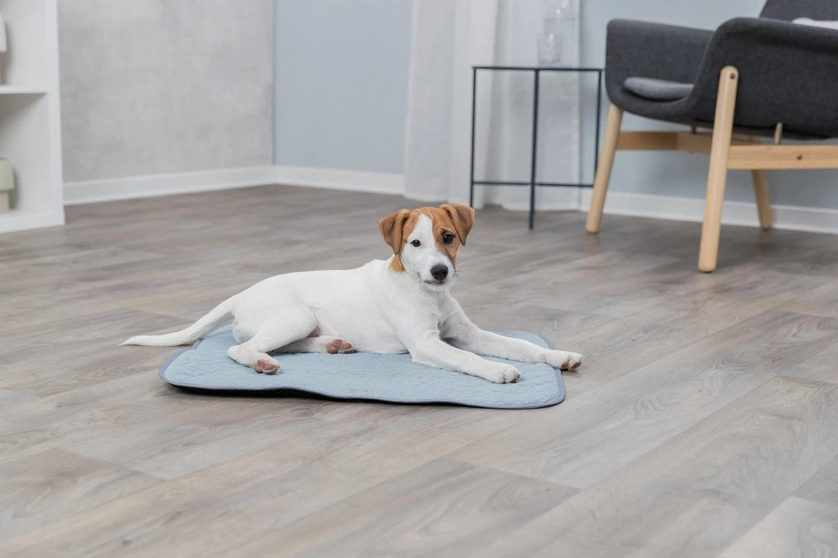 Trixie Junior Ligmat Fresh Lichtblauw - 60X50 CM 8 Trixie Junior Ligmat Fresh Lichtblauw - 60X50 CM - Afbeelding 6