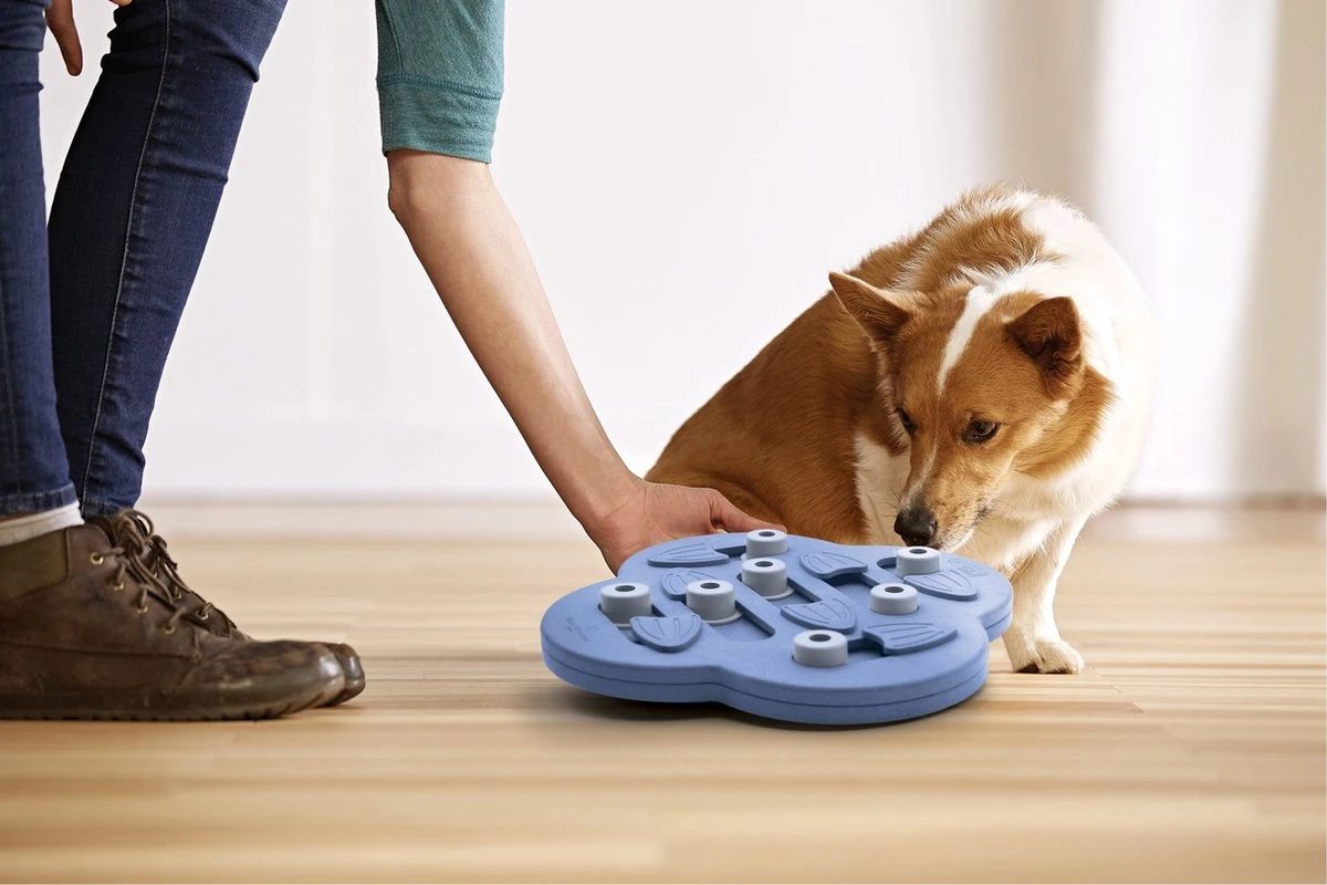 Nina Ottosson Dog Hide N Slide Composiet 33x33x5 Cm 4 Nina Ottosson Dog Hide N Slide Composiet 33x33x5 Cm - Afbeelding 2