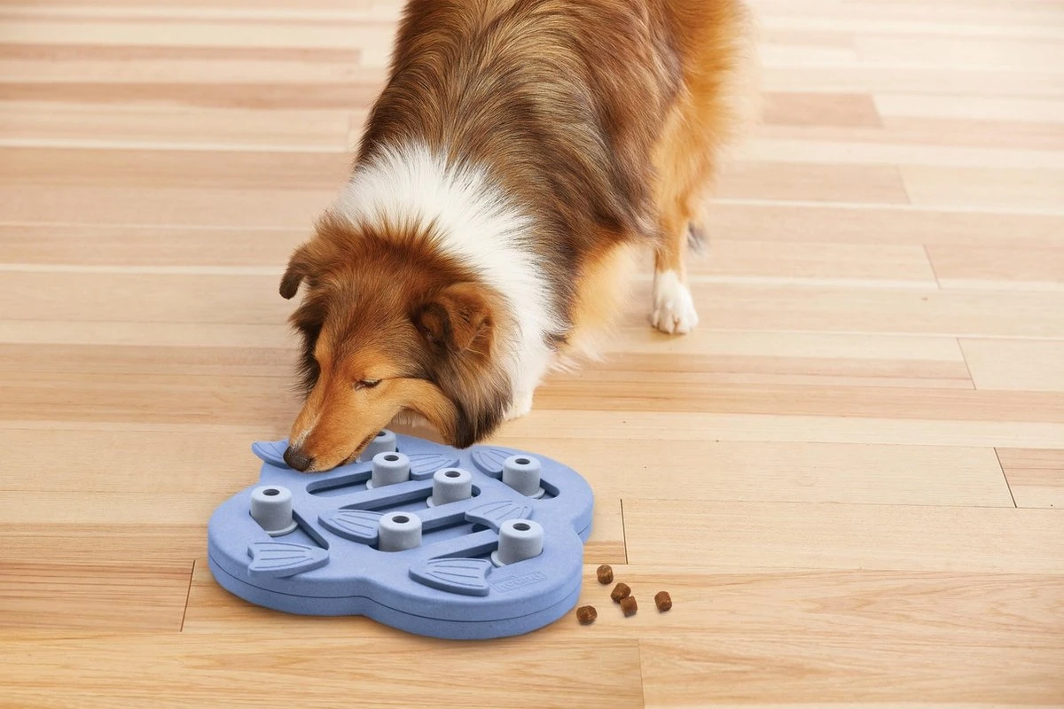 Nina Ottosson Dog Hide N Slide Composiet 33x33x5 Cm 7 Nina Ottosson Dog Hide N Slide Composiet 33x33x5 Cm - Afbeelding 5