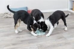 Trixie Junior Likplaat Mintgroen - 21X21 CM -Hondenspeelgoed Winkel 1200x800 78