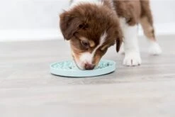 Trixie Junior Likplaat Mintgroen (15X15 CM) -Hondenspeelgoed Winkel 1200x800 87