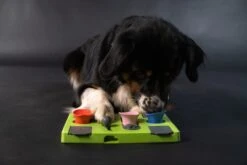 Eat Slow Live Longer Puzzel Rectangle – Intelligentie Speelgoed Voor Honden – Interactief Hondenspeelgoed – Uitdagende Hondenpuzzel – Gerecyclede Materialen – Te Vullen Met Snacks - 25x26x5 Cm - Groen -Hondenspeelgoed Winkel 1200x800 92