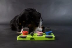 Eat Slow Live Longer Puzzel Rectangle – Intelligentie Speelgoed Voor Honden – Interactief Hondenspeelgoed – Uitdagende Hondenpuzzel – Gerecyclede Materialen – Te Vullen Met Snacks - 25x26x5 Cm - Groen -Hondenspeelgoed Winkel 1200x800 94
