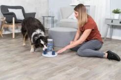 Trixie Dog Activity Gambling Tower - 27X25 CM -Hondenspeelgoed Winkel 1200x800 99