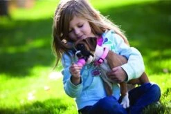 Kong Puppy - Hondenspeelgoed - Assorti - L -Hondenspeelgoed Winkel 1200x801 5