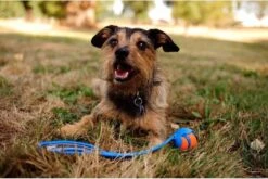 Chuckit! Chuckit Pro Ball - Werpstok - Apporteren- 25m Ver - 63 Cm -Hondenspeelgoed Winkel 1200x804 4