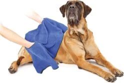 Duvo+ Hondenhanddoek 70 X 100 Cm 11 Duvo+ Hondenhanddoek 70 X 100 Cm -Hondenspeelgoed Winkel 1200x808