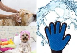 Vacht Verzorgingsborstel Voor Huisdieren - Blauw - LimitedDeals - Voor Honden Katten Konijnen Paarden - Tevens Massage Handschoen Voor Dieren! - Goed Voor De Verzorging Van De Vacht -Hondenspeelgoed Winkel 1200x825