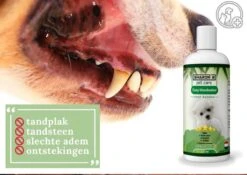 Easy Mondwater Voor Honden - 237 Ml - Tegen Stinkende Adem - Tandplak - Tandsteen - Tandvleesproblemen 16 Easy Mondwater Voor Honden - 237 Ml - Tegen Stinkende Adem - Tandplak - Tandsteen - Tandvleesproblemen -Hondenspeelgoed Winkel 1200x852 5
