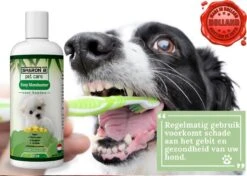 Easy Mondwater Voor Honden - 237 Ml - Tegen Stinkende Adem - Tandplak - Tandsteen - Tandvleesproblemen 14 Easy Mondwater Voor Honden - 237 Ml - Tegen Stinkende Adem - Tandplak - Tandsteen - Tandvleesproblemen -Hondenspeelgoed Winkel 1200x854 6