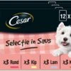 Cesar Selectie In Saus Maaltijdzakjes Honden Natvoer - Vlees En Groenten In Saus - 48 X 100 Gr