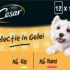 Cesar Selectie In Gelei Maaltijdzakjes Honden Natvoer - Vlees En Groenten In Gelei - 48 X 100g -Hondenspeelgoed Winkel 1200x861