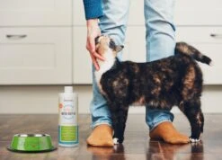 OxyFresh Pet Mondwater Hond En Kat. Helpt Tegen Tandsteen, Plak En Vieze Ademgeurtjes 9 OxyFresh Pet Mondwater Hond En Kat. Helpt Tegen Tandsteen, Plak En Vieze Ademgeurtjes -Hondenspeelgoed Winkel 1200x864 2