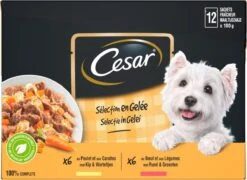 Cesar Selectie In Gelei Maaltijdzakjes Honden Natvoer - Vlees En Groenten In Gelei - 48 X 100g 9 Cesar Selectie In Gelei Maaltijdzakjes Honden Natvoer - Vlees En Groenten In Gelei - 48 X 100g -Hondenspeelgoed Winkel 1200x874