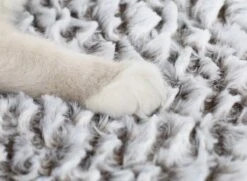 Merkloos Zelfverwarmende Dierendeken Zonder Stroom Thermo Deken Hond Kat Inclusief Adreslabel 70 X 47 Cm 16 Merkloos Zelfverwarmende Dierendeken Zonder Stroom Thermo Deken Hond Kat Inclusief Adreslabel 70 X 47 Cm -Hondenspeelgoed Winkel 1200x878