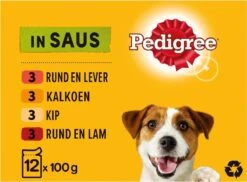 Pedigree Adult Honden Natvoer - Vlees & Gevogelte In Saus - 48 X 100g -Hondenspeelgoed Winkel 1200x884 1