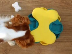 Nina Ottosson Dog Tornado Blu 22 Nina Ottosson Dog Tornado Blu -Hondenspeelgoed Winkel 1200x895 2