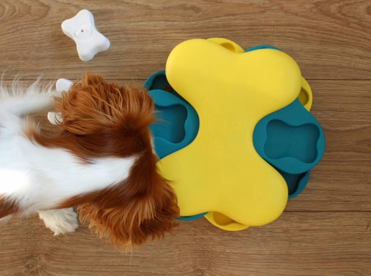 Nina Ottosson Dog Tornado Blu 10 Nina Ottosson Dog Tornado Blu - Afbeelding 9