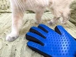 Vacht Verzorgingsborstel Voor Huisdieren - Blauw - LimitedDeals - Voor Honden Katten Konijnen Paarden - Tevens Massage Handschoen Voor Dieren! - Goed Voor De Verzorging Van De Vacht -Hondenspeelgoed Winkel 1200x897