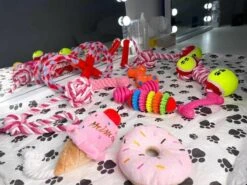 Honden Speelgoed - Puppy Speelgoed - 11 Stuks - Roze - 1 Speeltje Gratis - Honden Knuffel - Trektouw - Honden Speeltjes -Hondenspeelgoed Winkel 1200x898 3