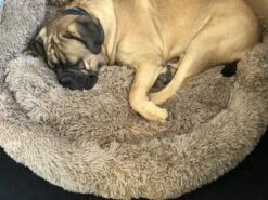 HONDEN RELAX Kussen - Superzacht Fluffy Ronde Mand 100 Cm - Taupe/Zandkleur 14 HONDEN RELAX Kussen - Superzacht Fluffy Ronde Mand 100 Cm - Taupe/Zandkleur -Hondenspeelgoed Winkel 1200x899 10