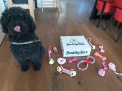 Honden Speelgoed - Puppy Speelgoed - 11 Stuks - Roze - 1 Speeltje Gratis - Honden Knuffel - Trektouw - Honden Speeltjes -Hondenspeelgoed Winkel 1200x899 17