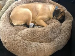 HONDEN RELAX Kussen - Superzacht Fluffy Ronde Mand 100 Cm - Taupe/Zandkleur