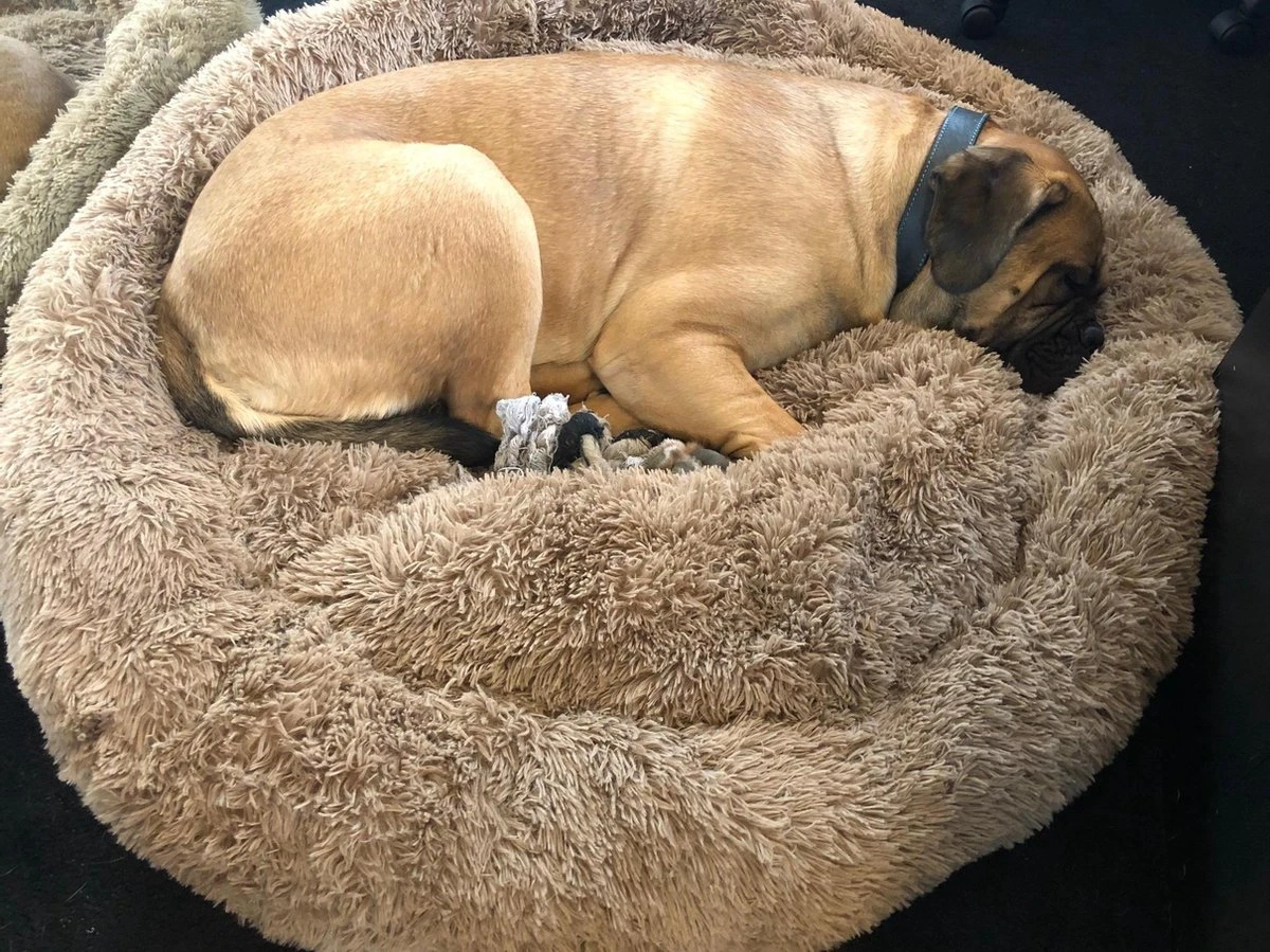 HONDEN RELAX Kussen - Superzacht Fluffy Ronde Mand 100 Cm - Taupe/Zandkleur 3 HONDEN RELAX Kussen - Superzacht Fluffy Ronde Mand 100 Cm - Taupe/Zandkleur