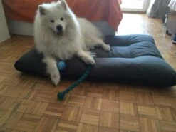 Hondenkussen XXXL -Donkergrijs - 85 X 120 X 14 -Hondenspeelgoed Winkel 1200x900 8