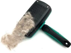 ElegaPet Hondenborstel Groen - Hondenhaar Verwijderen - Kat En Hondenkam - Slickerborstel Hond En Kat - Groomer - Ondervacht Kam Hond - Borstel Hond - Hondenborstel Langharig En Kortharig - Slickerborstel - Anti Klit/Knopen/Huidschilfers -Hondenspeelgoed Winkel 1200x902