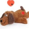 Merkloos Hondenknuffel - Puppyknuffel Met Hartslag - Knuffel Met Hartslag - Antistress Hond - Hondenspeelgoed 1 Merkloos Hondenknuffel - Puppyknuffel Met Hartslag - Knuffel Met Hartslag - Antistress Hond - Hondenspeelgoed -Hondenspeelgoed Winkel 1200x934